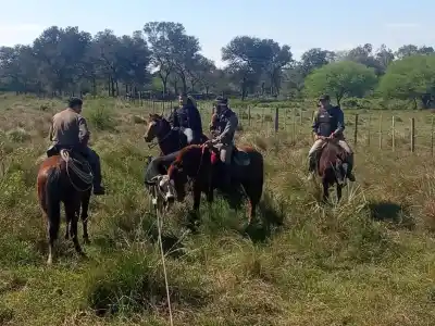 Abigeato en Formosa: recuperaron 40 vacunos y secuestraron otras 36 cabezas de origen paraguayo