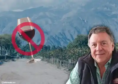 Crisis vitivinícola en Salta: por primera vez dejan uvas sin cosechar y los viñedos desaparecen