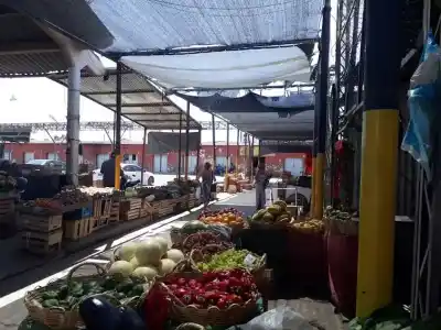 El clima y la economía golpean a los feriantes: "Se está remando en dulce de leche"