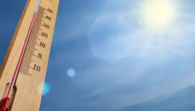 El calor vuelve a Misiones con marcas que superarán los 30 grados: conocé cuándo arranca