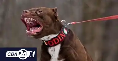 Sumaron una nueva imputada por la muerte de Salvador, el nene atacado por un pitbull en barrio Suárez