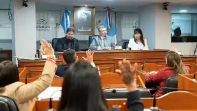 El Senado dio luz verde al Colegio de Trabajadores Sociales y aprobó un paquete de obras clave