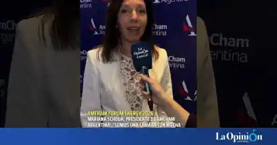 AmCham Argentina: Mariana Schoua revela los desafíos del sector y el rol clave de la energía