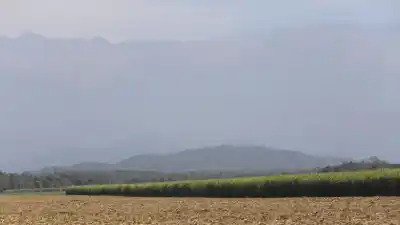 La zafra 2026 avanza a todo ritmo en el NOA: ¿qué números maneja Tucumán?