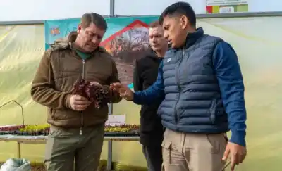 El invernáculo de ADER dio sus primeros frutos y ya reparte verduras en Rawson