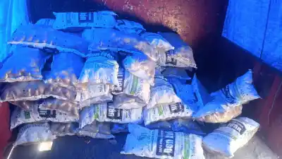Sin papeles y con papas: el camión que vendía en Chubut terminó bajo control municipal