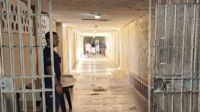 El plan que prepara a los presos para salir con trabajo: qué oficios se enseñarán