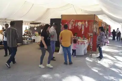 Expo Productiva de Villa Ascasubi: artistas confirmados para las tres jornadas