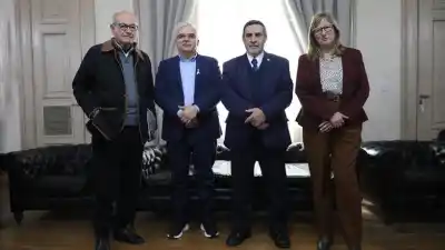 Células madre: la apuesta de Tucumán que podría cambiar el tratamiento de una complicación diabética