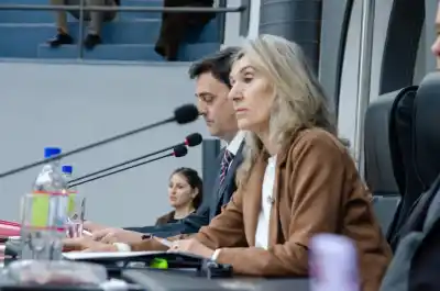 Homenaje a Mac Allister y alerta por rutas: la sesión clave en Diputados de La Pampa