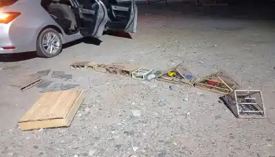 Camioneta con un insólito cargamento: 27 aves silvestres en jaulas clandestinas