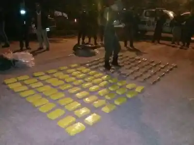 Cayó una banda narco en Salta: 9 detenidos y 204 kilos de cocaína secuestrados