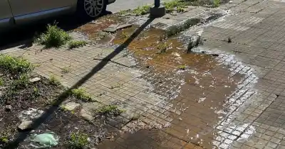 La pérdida de agua que tiene hartos a los vecinos de La Loma: tres reclamos y sigue empeorando