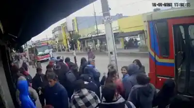 Colectivo la atropelló al dar marcha atrás y murió en el acto: el dramático momento quedó filmado
