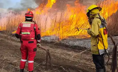 Intervención de bomberos en Finca El Pongo: sofocaron un incendio y evitaron su propagación