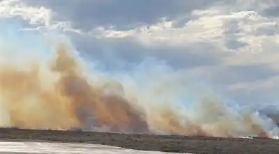 Alerta en Cafayate: qué pasó con el incendio que encendió las alarmas entre Corralito y el río Calchaquí