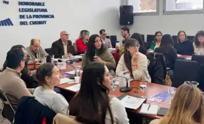 Chubut: el plan secreto contra la violencia de género que se cocina en Rawson