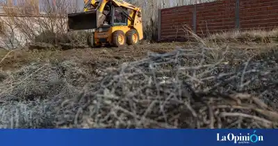 Lotes que llevaban 15 años abandonados fueron recuperados: el plan que sigue la Municipalidad
