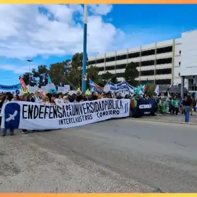 Docentes universitarios ratifican una semana de huelga y exigen el 28,5% que el Gobierno aún no paga
