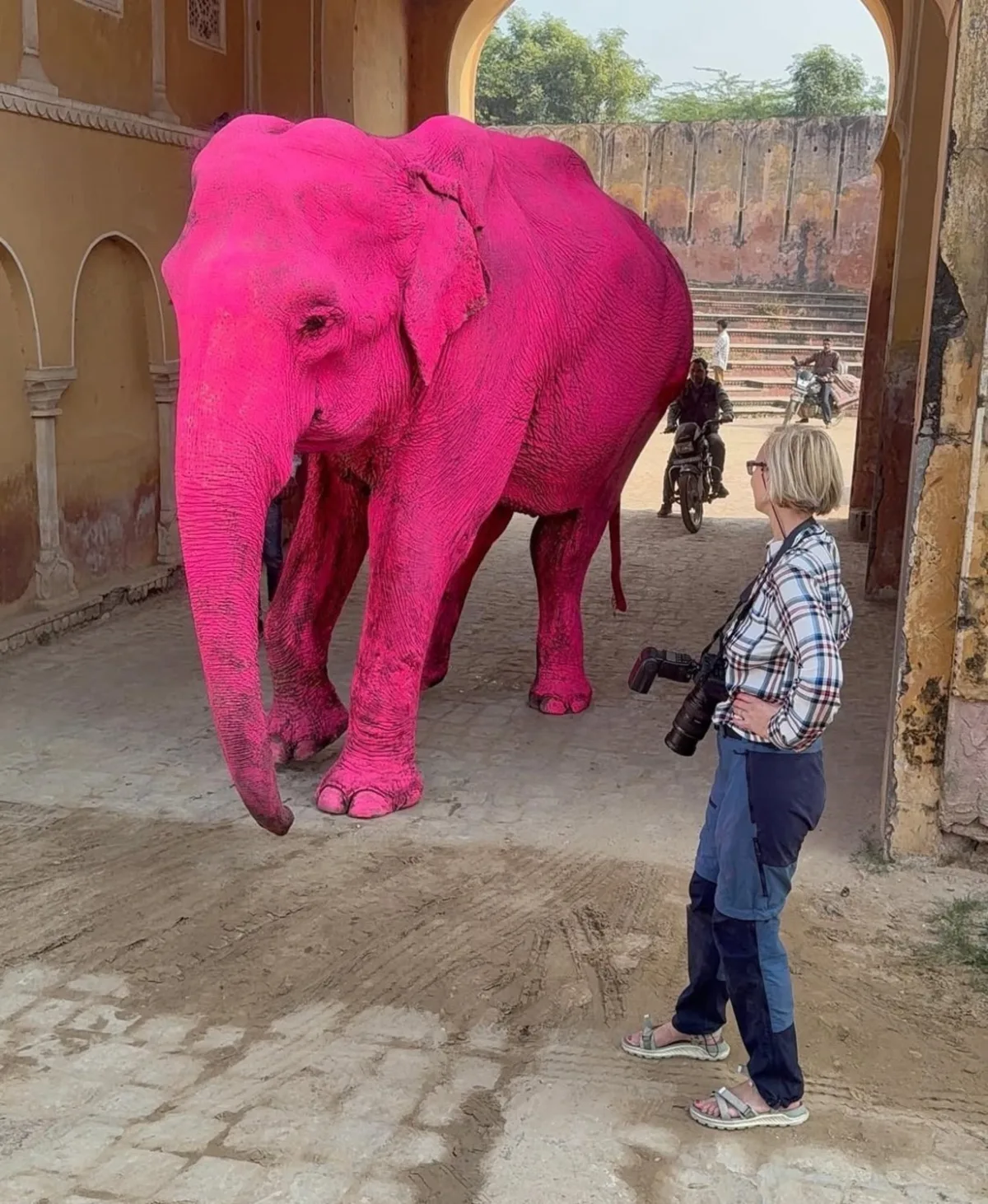 Una fotógrafa pintó de rosa a una elefanta en India; tras su muerte meses después, estalló la polémica | Foto: Instagram/@Julia.buruleva.