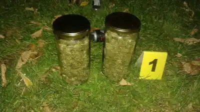 Un viaje en micro casi termina en condena, pero un detalle inesperado lo cambió todo