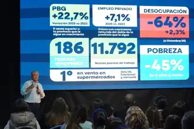 El plan que transformó el empleo en Neuquén: ¿cuántos puestos se crearon?