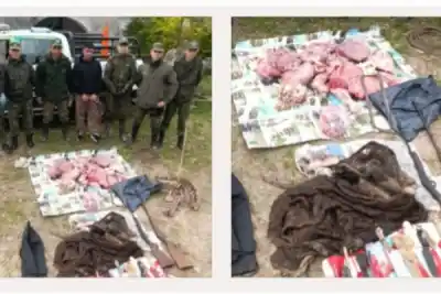 Secuestran armas y carne vacuna escondida bajo una cama en Goya