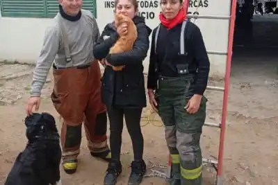 Un felino en apuros: el rescate que conmovió a un barrio de Corrientes