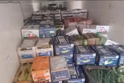 Un camión con 500 kilos de frutas sin documentación fue detenido en el Túnel Subfluvial