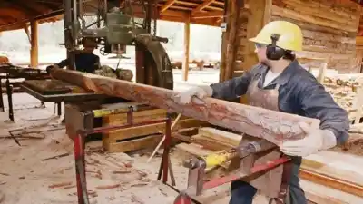 La luz que ahoga: industriales de Misiones declaran la emergencia tarifaria y reclaman respuestas
