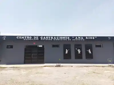 Este sábado, castraciones y vacunación antirrábica gratuitas en el Centro Anita Ríos