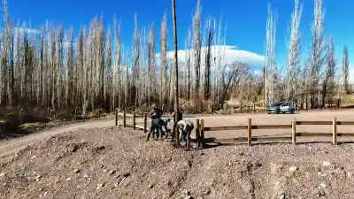 Barreal: el parador sobre el Río Los Patos que renació para vecinos y turistas