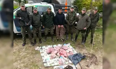 Hallazgo insólito en Goya: escondían un freezer con carne vacuna debajo de la cama