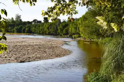 Limpieza del río en Mina Clavero: ¿qué harán con la vegetación?