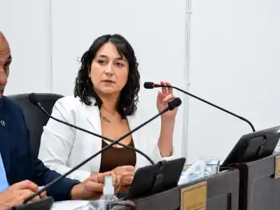 El duro cruce de Cavana con Zdero: "La reiterancia ya existe en Chaco"