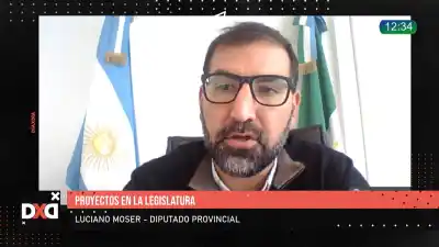 ¿Show mediático o una ley que ya existe? El duro cruce de Moser con el oficialismo por la reiterancia