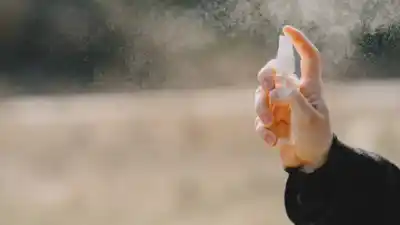 Alerta en hogares: ANMAT saca de circulación un insecticida clave para mascotas