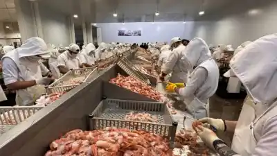Amplían la planta pesquera Marina Austral y Caleta Olivia celebra un salto productivo