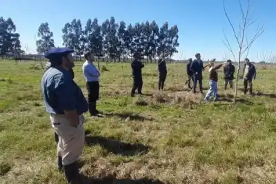¿Qué esconde la expansión del pecán en el sur correntino? Más de 250 hectáreas en juego