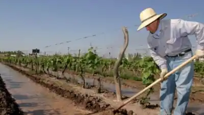 Agricultores mendocinos: ¿ya conocés el Fondo Compensador? La inscripción cierra en septiembre