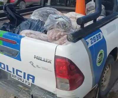 Operativo sorpresa en Roca y Allen: secuestraron 350 kilos de carne y detectaron faena clandestina