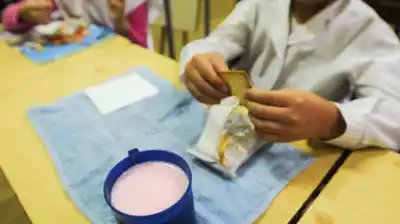 El menú secreto de la Copa de Leche: qué reciben los chicos en las escuelas salteñas