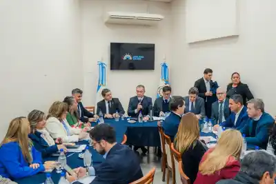 Definieron el día y la votación para los convenios de Vicuña y Vialidad: qué se necesita para aprobarlos