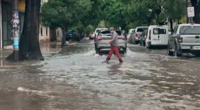 Furia del cielo en Santiago: El árbol gigante que cayó y el caos que dejó el temporal