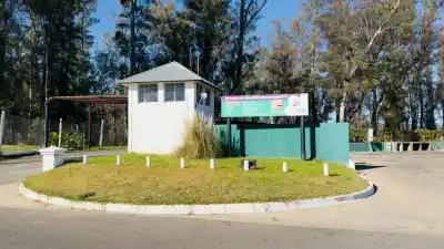 Feriado del 17 de agosto: los cambios en los servicios municipales que tenés que conocer