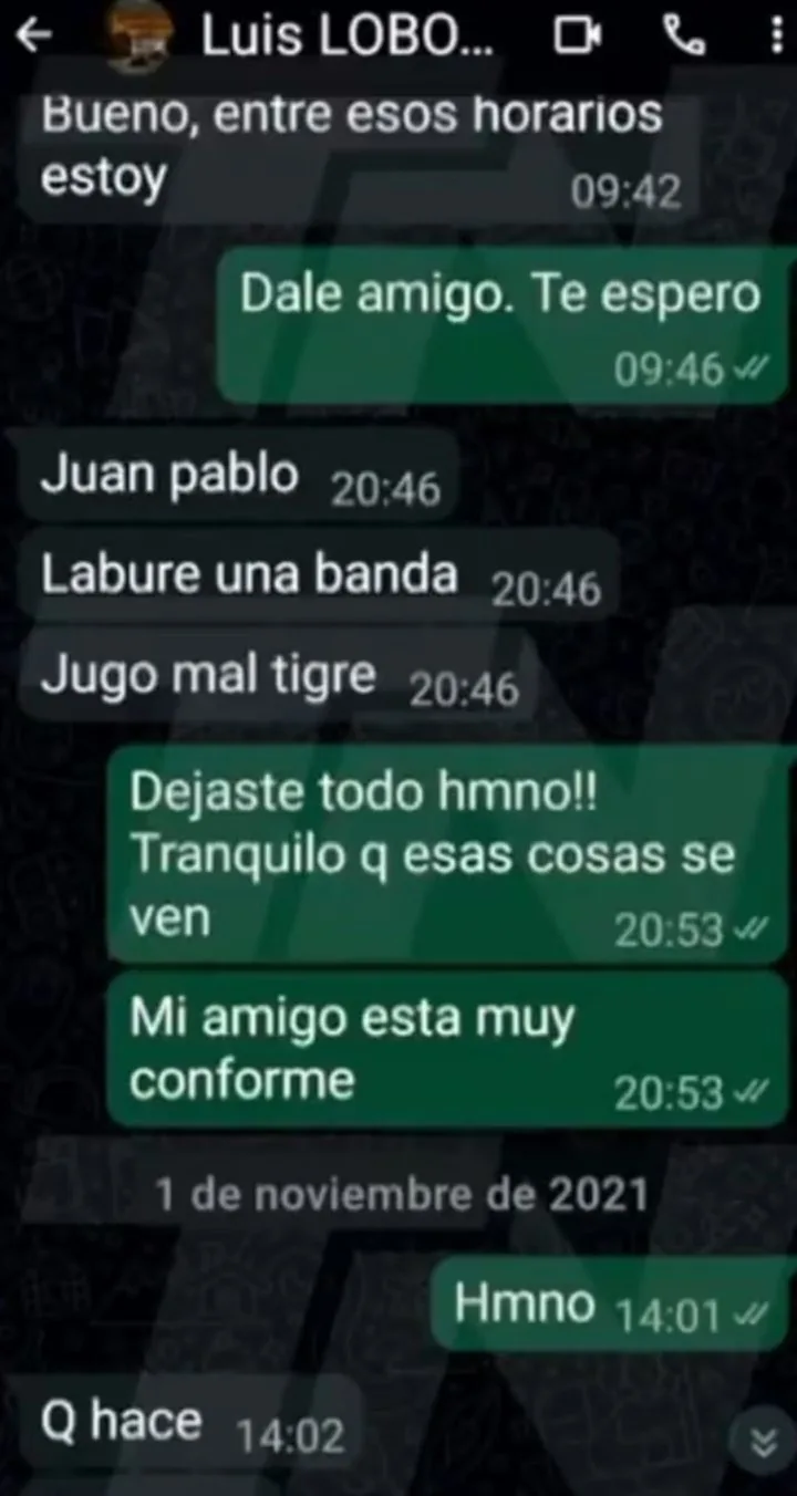 Polémica con el árbitro Luis Lobo Medina: los chats difundidos por TN.