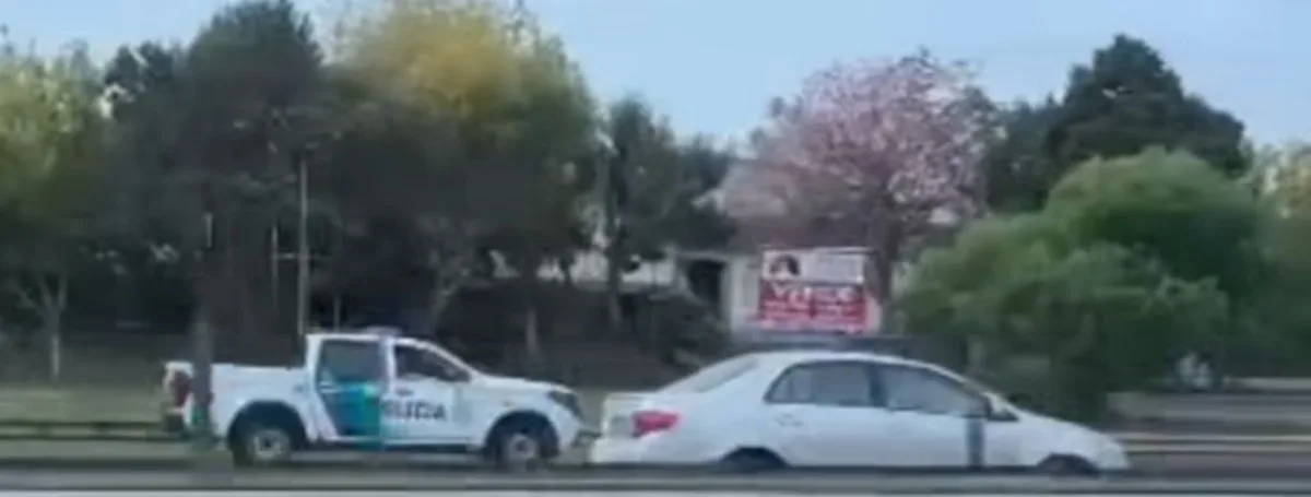 panamericana