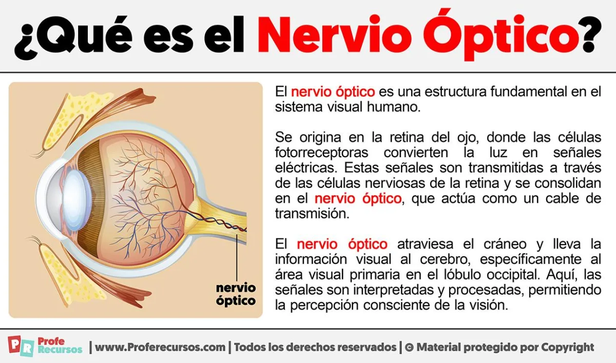 https://images.openai.com/static-rsc-4/YWcsUZtqLrq59-BzUM_gW0uO4N1huTq3yuyU_0I9RNX43YHYqozVarefjZ2v_6KNsgkZw3HWe7N84i1W9gQ0nDCfyzeSuFHNEclf5-lLCc_G63OX8pRwS5_d4YTdW0MRob9v5wrueoZxESTLGki55rAUrj69zaidYQv1V0teZJ1iMwVL3KeegtUyiA4krIy2?purpose=fullsize