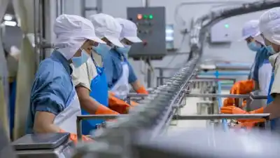 Curso gratuito en Adelia María: aprendé a manipular alimentos con certificación oficial
