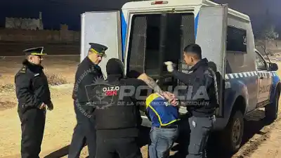 Hallan restos de animales y detienen a cinco personas en allanamientos por robo de caballos en Neuquén